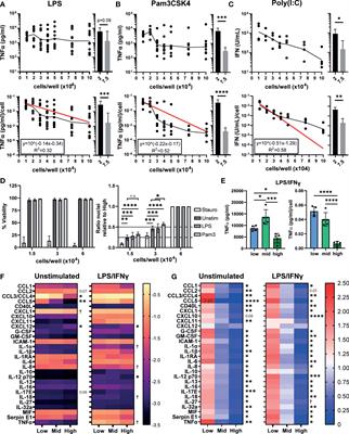 Density dependent regulation of inflammatory responses in macrophages